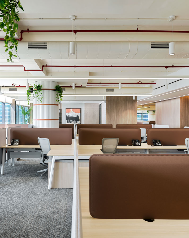 Modern office space with open-plan design, featuring rows of desks with brown dividers, gray chairs, and greenery overhead, creating a calm, organized atmosphere.