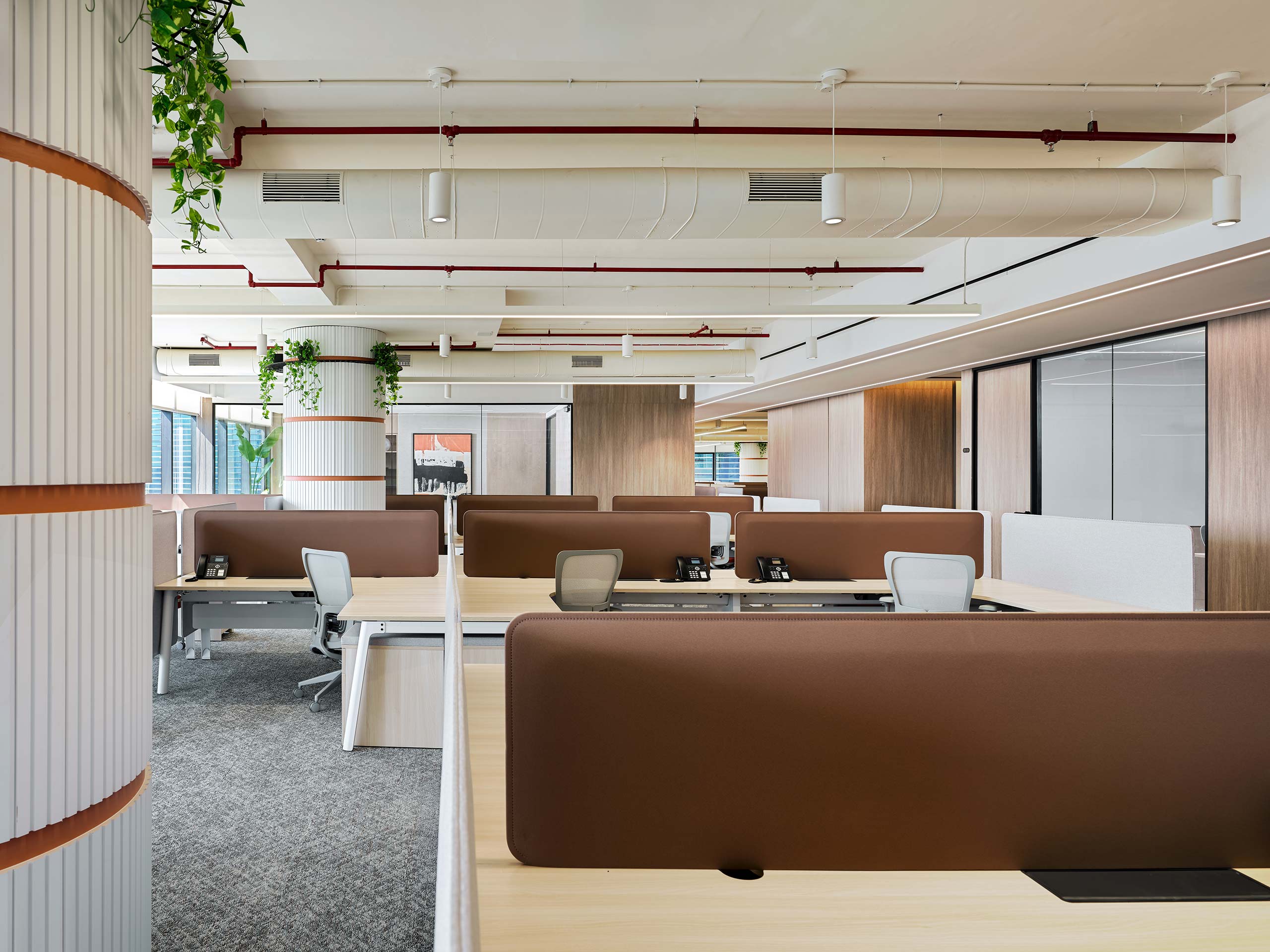 Modern office space with open-plan design, featuring rows of desks with brown dividers, gray chairs, and greenery overhead, creating a calm, organized atmosphere.